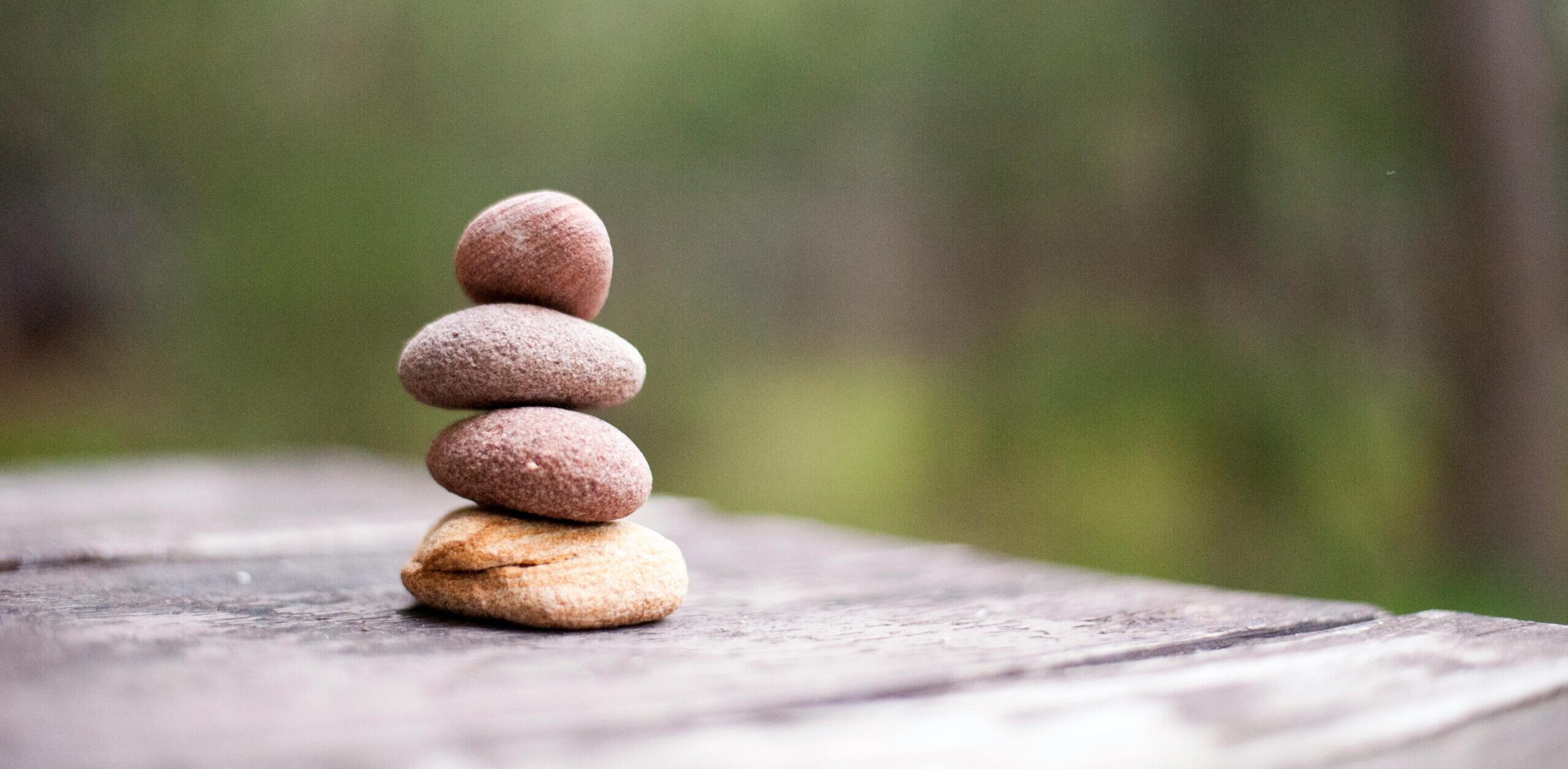 Read more about the article From Performance To Alignment